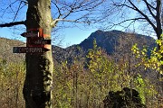 Pizzo Baciamorti e Monte Aralalta con giro ad anello da Capo Foppa di Pizzino il 4 novembre 2019 - FOTOGALLERY